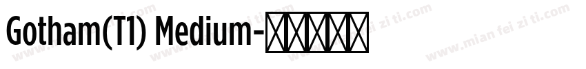 Gotham(T1) Medium字体转换